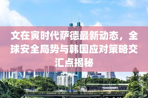 文在寅時代薩德最新動態(tài)，全球安全局勢與韓國應(yīng)對策略交匯點揭秘