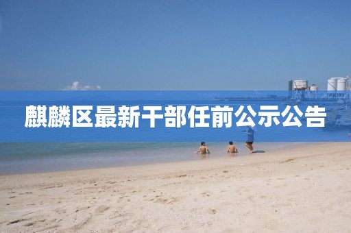 麒麟?yún)^(qū)最新干部任前公示公告