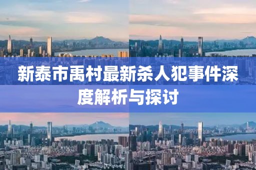新泰市禹村最新殺人犯事件深度解析與探討