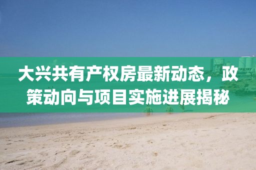 大興共有產(chǎn)權(quán)房最新動(dòng)態(tài)，政策動(dòng)向與項(xiàng)目實(shí)施進(jìn)展揭秘