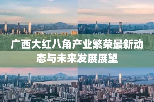 廣西大紅八角產(chǎn)業(yè)繁榮最新動態(tài)與未來發(fā)展展望