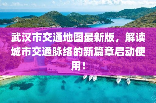 戰(zhàn)龍狂神 第13頁