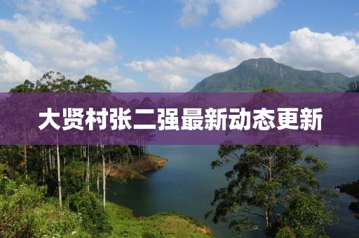 大賢村張二強(qiáng)最新動態(tài)更新