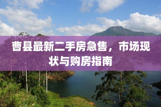 曹縣最新二手房急售，市場現(xiàn)狀與購房指南