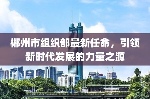 郴州市組織部最新任命，引領新時代發(fā)展的力量之源
