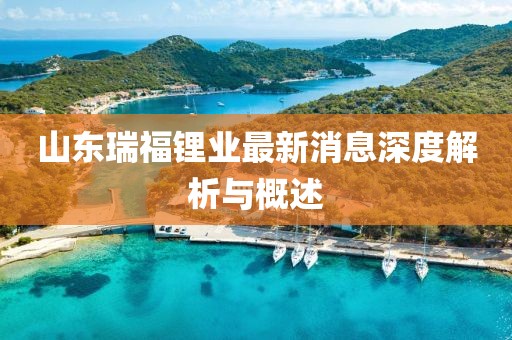 山東瑞福鋰業(yè)最新消息深度解析與概述