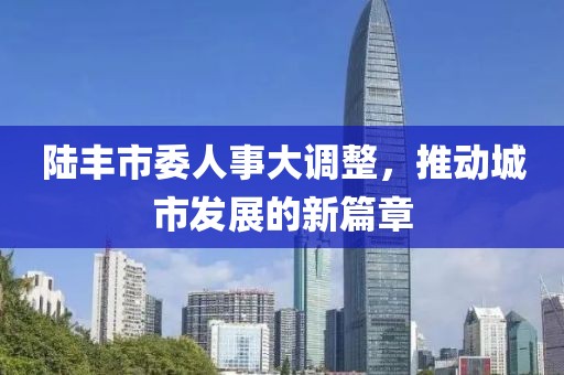 陸豐市委人事大調(diào)整，推動城市發(fā)展的新篇章