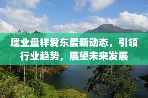 建業(yè)盤(pán)樣愛(ài)東最新動(dòng)態(tài)，引領(lǐng)行業(yè)趨勢(shì)，展望未來(lái)發(fā)展