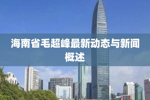 海南省毛超峰最新動態(tài)與新聞概述