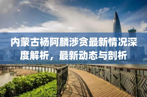 內(nèi)蒙古楊阿麟涉貪最新情況深度解析，最新動(dòng)態(tài)與剖析