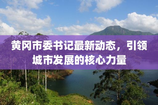 黃岡市委書記最新動態(tài)，引領(lǐng)城市發(fā)展的核心力量