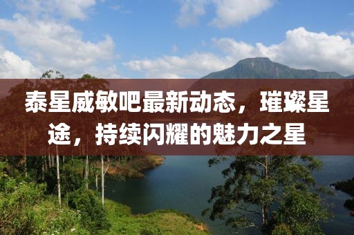 泰星威敏吧最新動(dòng)態(tài)，璀璨星途，持續(xù)閃耀的魅力之星