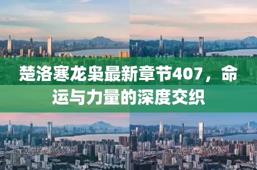 楚洛寒龍梟最新章節(jié)407，命運與力量的深度交織