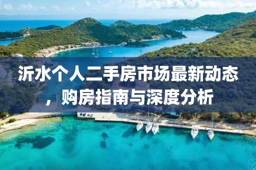 沂水個人二手房市場最新動態(tài)，購房指南與深度分析