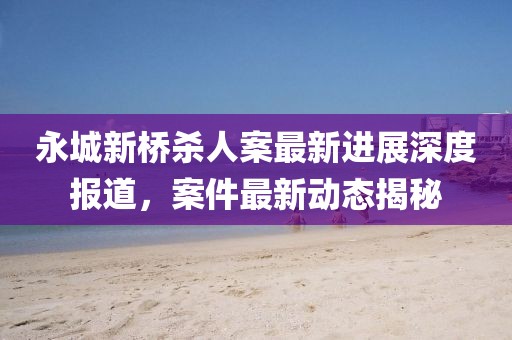永城新橋殺人案最新進展深度報道，案件最新動態(tài)揭秘