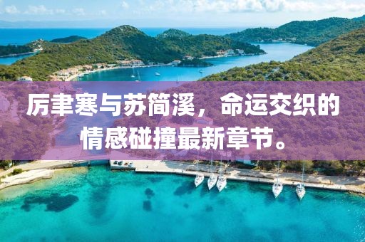 厲聿寒與蘇簡溪，命運交織的情感碰撞最新章節(jié)。
