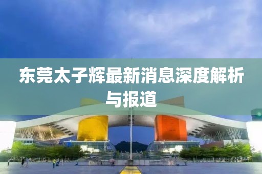 東莞太子輝最新消息深度解析與報道