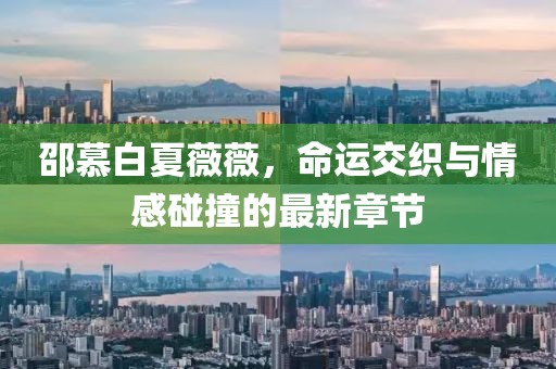邵慕白夏薇薇，命運(yùn)交織與情感碰撞的最新章節(jié)