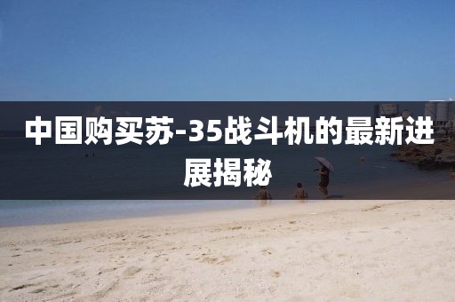 中國(guó)購(gòu)買蘇-35戰(zhàn)斗機(jī)的最新進(jìn)展揭秘