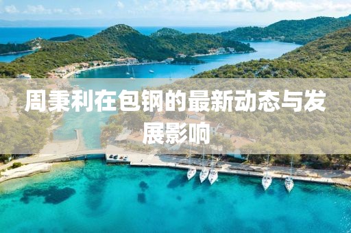 周秉利在包鋼的最新動(dòng)態(tài)與發(fā)展影響