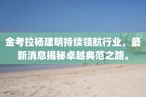 金考拉楊建明持續(xù)領(lǐng)航行業(yè)，最新消息揭秘卓越典范之路。