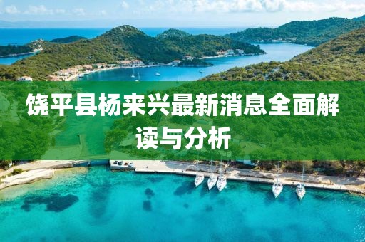 饒平縣楊來興最新消息全面解讀與分析