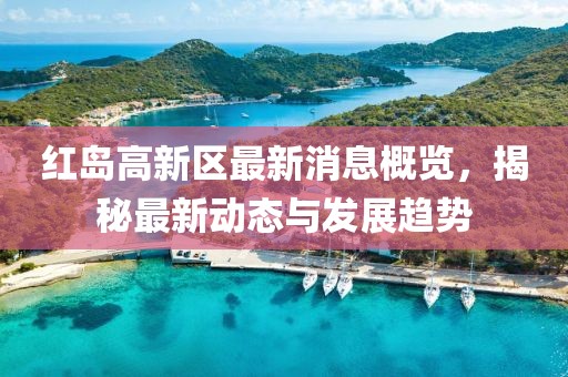 紅島高新區(qū)最新消息概覽，揭秘最新動(dòng)態(tài)與發(fā)展趨勢(shì)