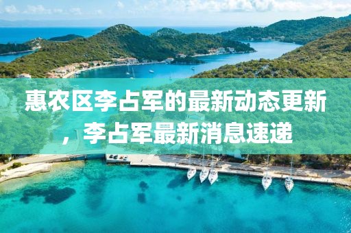 惠農(nóng)區(qū)李占軍的最新動(dòng)態(tài)更新，李占軍最新消息速遞