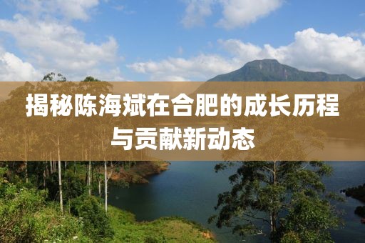 揭秘陳海斌在合肥的成長歷程與貢獻新動態(tài)