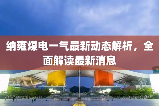 納雍煤電一氣最新動態(tài)解析，全面解讀最新消息