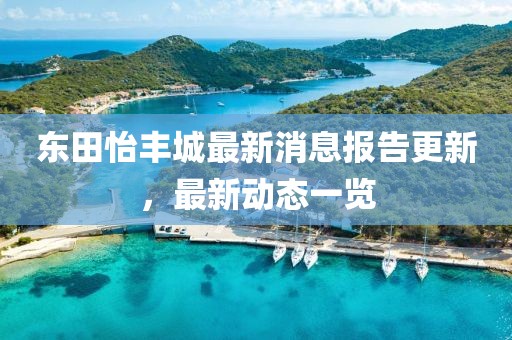 東田怡豐城最新消息報(bào)告更新，最新動(dòng)態(tài)一覽
