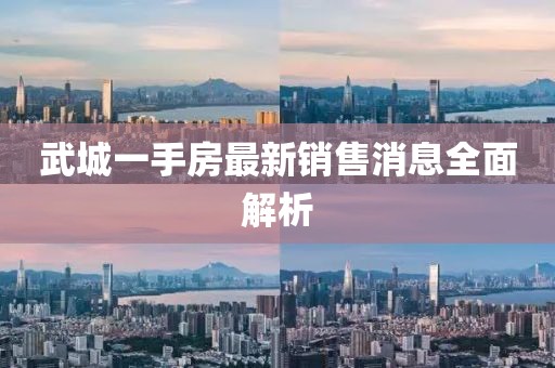 武城一手房最新銷售消息全面解析