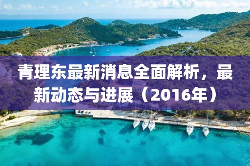 青理東最新消息全面解析，最新動(dòng)態(tài)與進(jìn)展（2016年）
