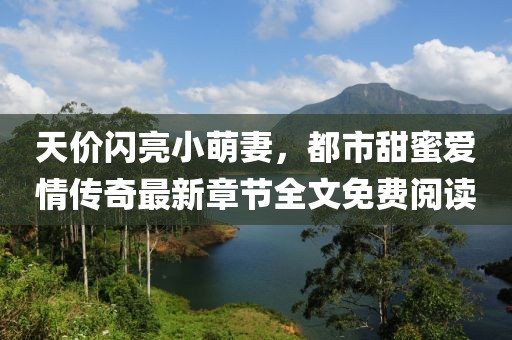 天價閃亮小萌妻，都市甜蜜愛情傳奇最新章節(jié)全文免費閱讀