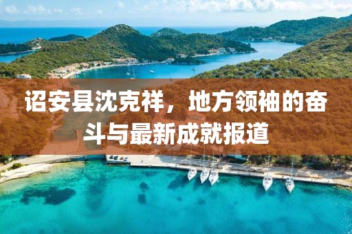 詔安縣沈克祥，地方領(lǐng)袖的奮斗與最新成就報(bào)道
