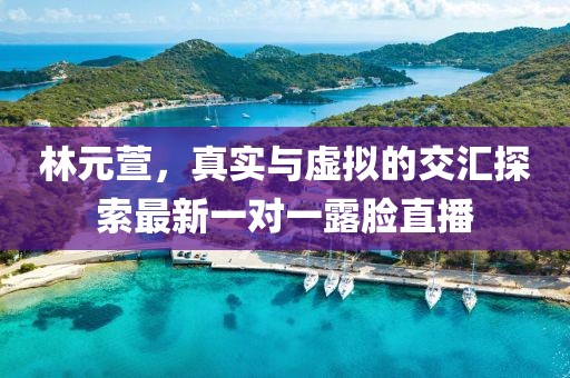 林元萱，真實與虛擬的交匯探索最新一對一露臉直播