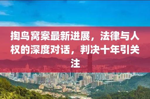掏鳥窩案最新進(jìn)展，法律與人權(quán)的深度對話，判決十年引關(guān)注