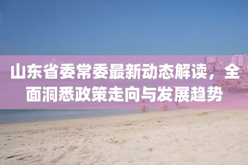 山東省委常委最新動態(tài)解讀，全面洞悉政策走向與發(fā)展趨勢