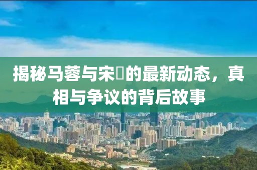 揭秘馬蓉與宋喆的最新動態(tài)，真相與爭議的背后故事