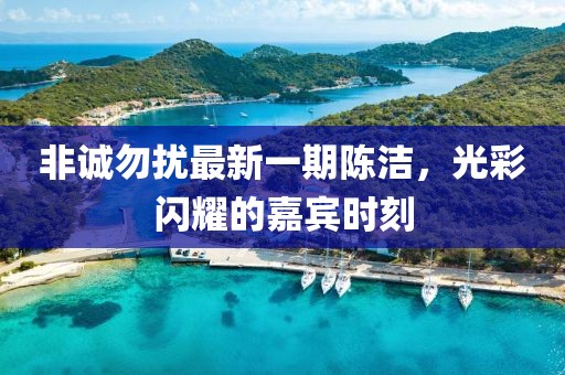 非誠勿擾最新一期陳潔，光彩閃耀的嘉賓時刻
