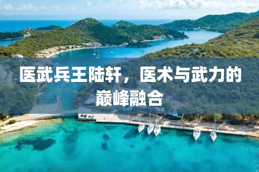 醫(yī)武兵王陸軒，醫(yī)術(shù)與武力的巔峰融合