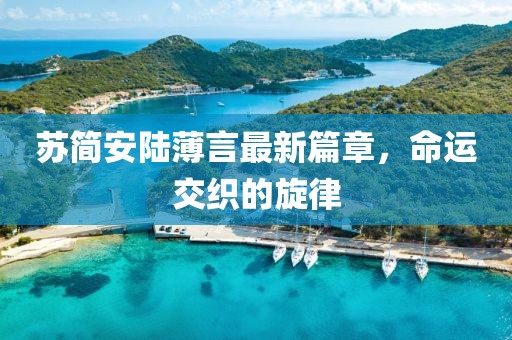 蘇簡安陸薄言最新篇章，命運(yùn)交織的旋律