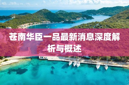 蒼南華臣一品最新消息深度解析與概述