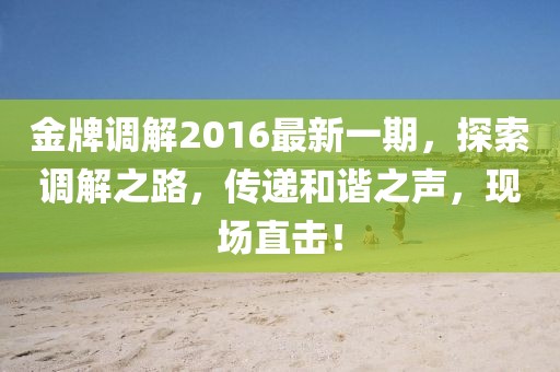 金牌調(diào)解2016最新一期，探索調(diào)解之路，傳遞和諧之聲，現(xiàn)場直擊！