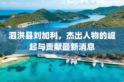 泗洪縣劉加利，杰出人物的崛起與貢獻(xiàn)最新消息