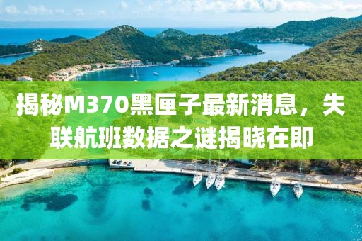 揭秘M370黑匣子最新消息，失聯(lián)航班數(shù)據(jù)之謎揭曉在即