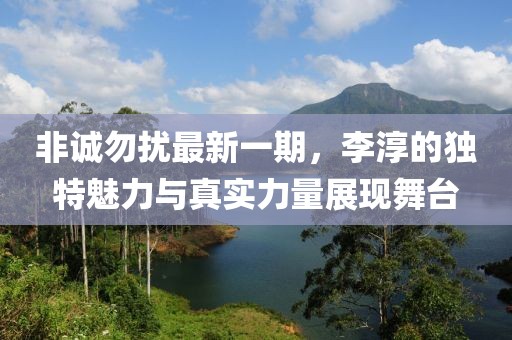 非誠勿擾最新一期，李淳的獨(dú)特魅力與真實(shí)力量展現(xiàn)舞臺