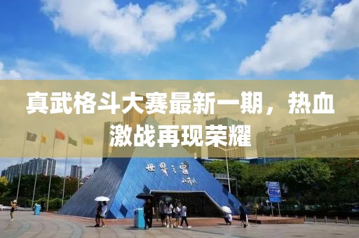 真武格斗大賽最新一期，熱血激戰(zhàn)再現(xiàn)榮耀
