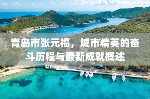 青島市張元福，城市精英的奮斗歷程與最新成就概述