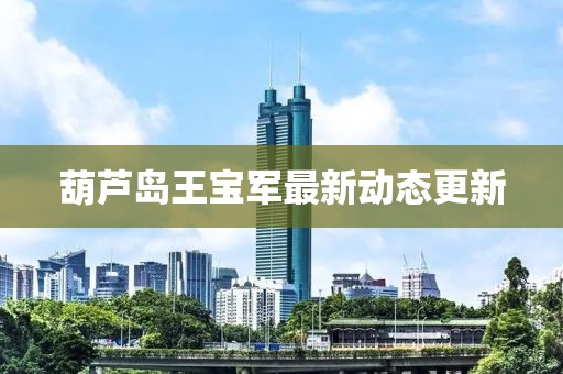 葫蘆島王寶軍最新動(dòng)態(tài)更新